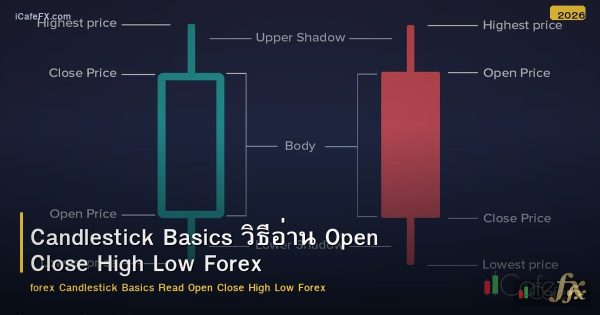 Candlestick Basics วิธีอ่าน Open Close High Low Forex