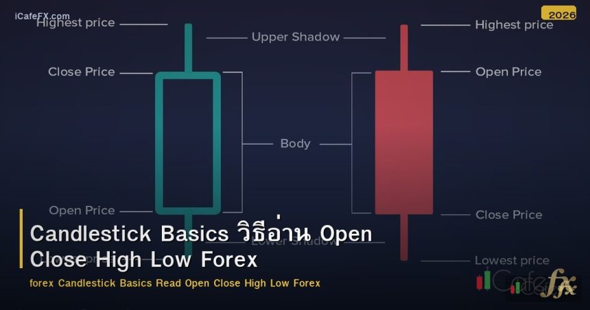 Candlestick Basics วิธีอ่าน Open Close High Low Forex