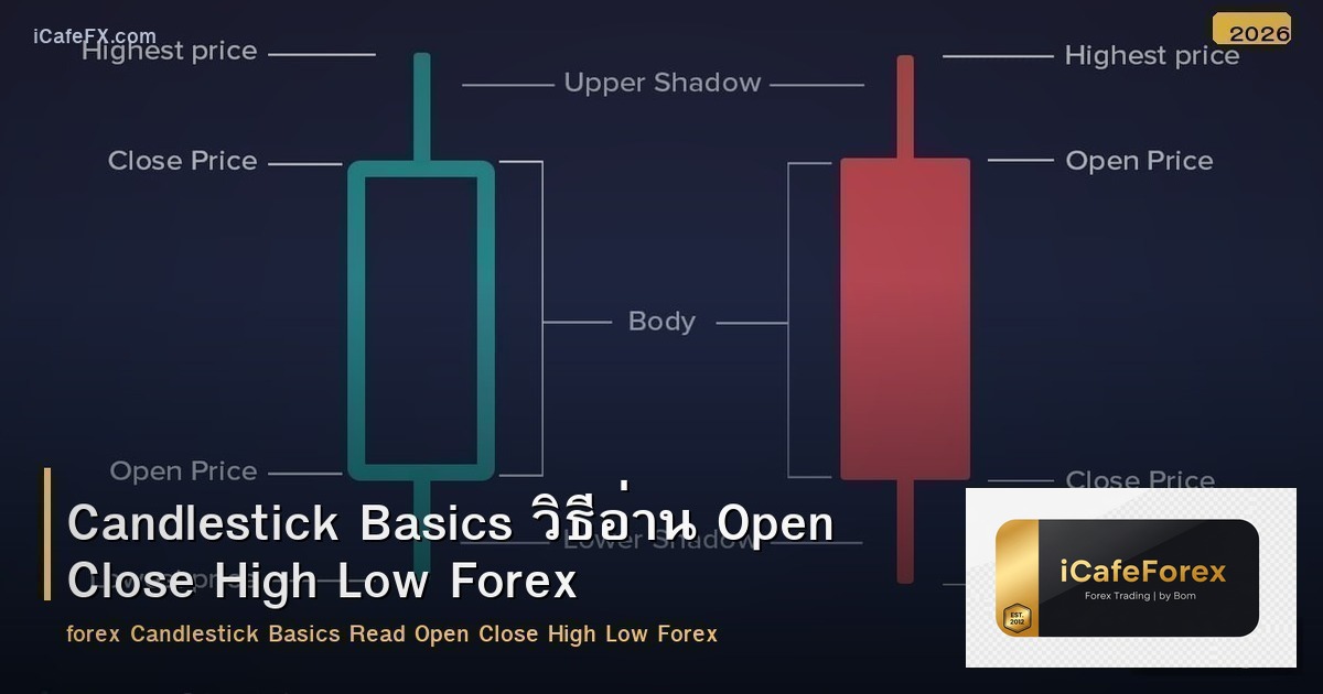 Candlestick Basics วิธีอ่าน Open Close High Low Forex