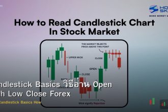 Candlestick Basics วิธีอ่าน Open High Low Close Forex