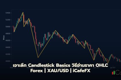 Candlestick Basics วิธีอ่าน Open High Low Close Forex