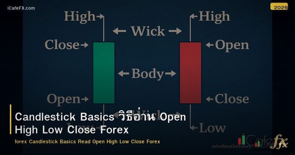 Candlestick Basics วิธีอ่าน Open High Low Close Forex