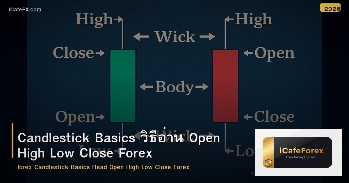 Candlestick Basics วิธีอ่าน Open High Low Close Forex