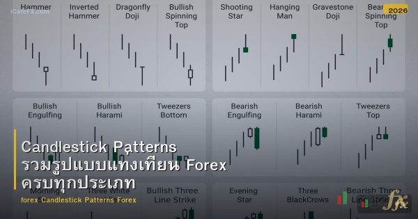 Candlestick Patterns รวมรูปแบบแท่งเทียน Forex ครบทุกประเภท