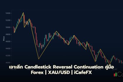 Candlestick Patterns Reversal Continuation คู่มือ Forex