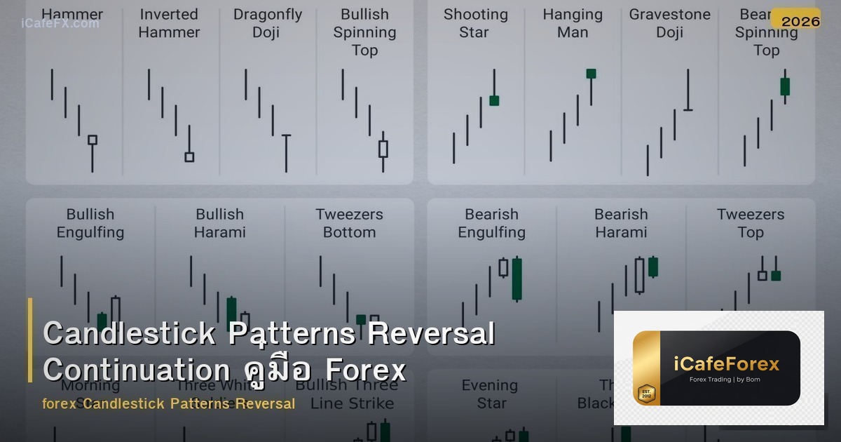 Candlestick Patterns Reversal Continuation คู่มือ Forex