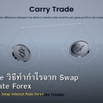 Carry Trade วิธีทำกำไรจาก Swap Interest Rate Forex