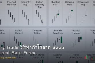 Carry Trade วิธีทำกำไรจาก Swap Interest Rate Forex