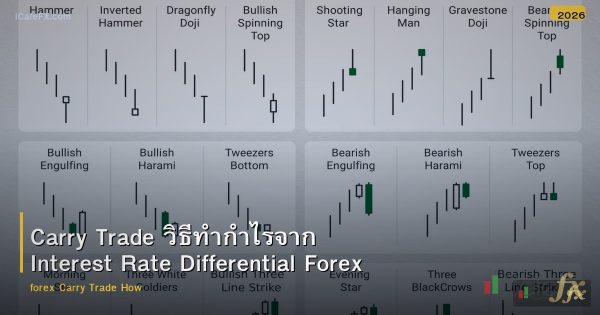 Carry Trade วิธีทำกำไรจาก Interest Rate Differential Forex