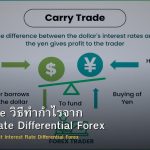 Carry Trade วิธีทำกำไรจาก Interest Rate Differential Forex