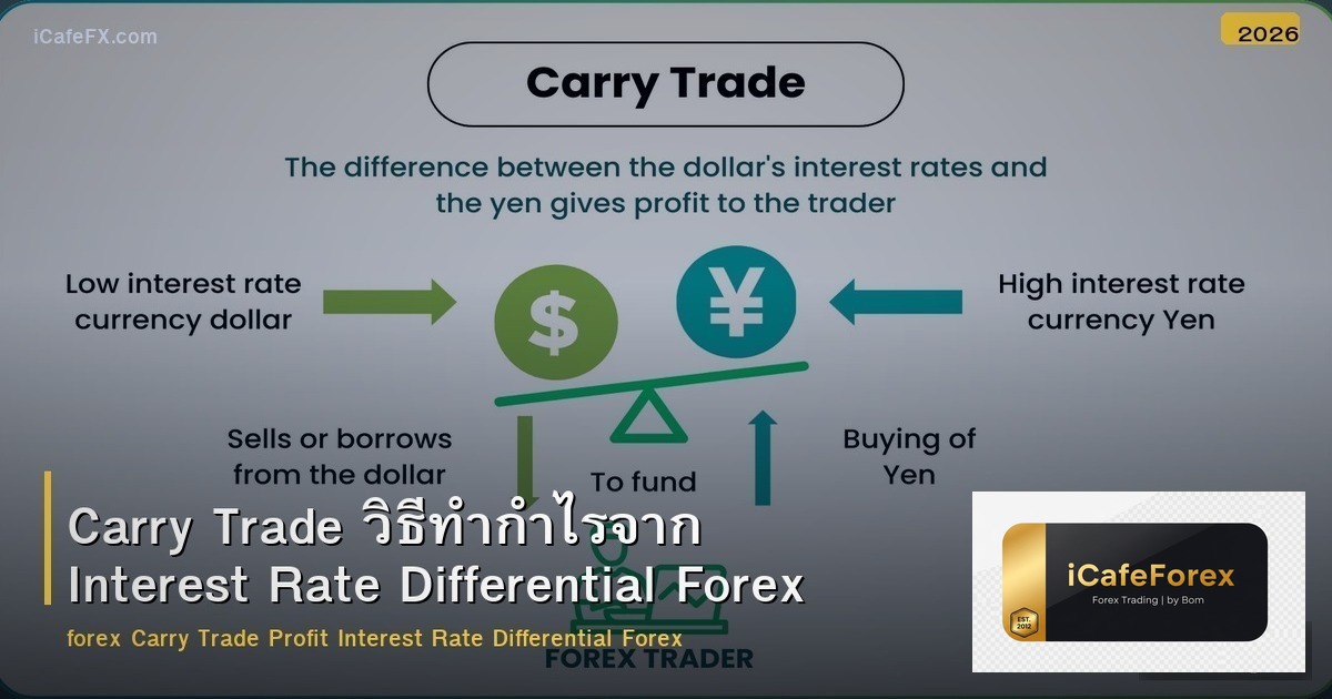 Carry Trade วิธีทำกำไรจาก Interest Rate Differential Forex