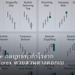 Carry Trade กลยุทธ์ทำกำไรจาก Swap ใน Forex ด้วยส่วนต่างดอกเบี้ย