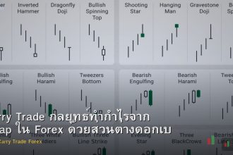 Carry Trade กลยุทธ์ทำกำไรจาก Swap ใน Forex ด้วยส่วนต่างดอกเบี้ย