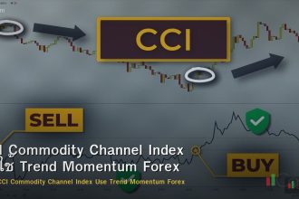 CCI Commodity Channel Index วิธีใช้ Trend Momentum Forex