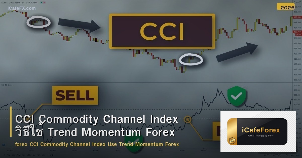 CCI Commodity Channel Index วิธีใช้ Trend Momentum Forex
