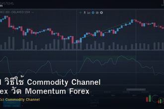 CCI วิธีใช้ Commodity Channel Index วัด Momentum Forex