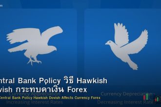 Central Bank Policy วิธี Hawkish Dovish กระทบค่าเงิน Forex