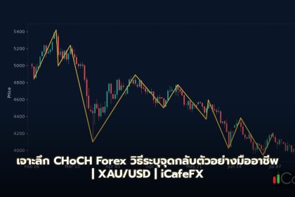 Change of Character (CHoCH) วิธีระบุจุดกลับตัว Forex