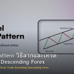 Channel Pattern วิธีลากและเทรด Ascending Descending Forex