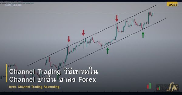 Channel Trading วิธีเทรดใน Channel ขาขึ้น ขาลง Forex