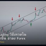 Channel Trading วิธีเทรดใน Channel ขาขึ้น ขาลง Forex