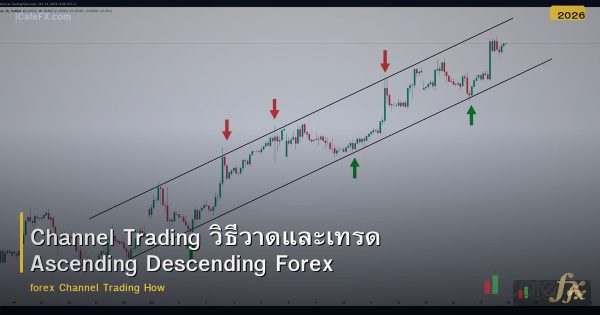 Channel Trading วิธีวาดและเทรด Ascending Descending Forex