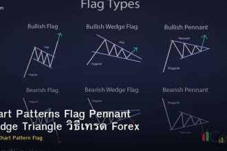 Chart Patterns Flag Pennant Wedge Triangle วิธีเทรด Forex
