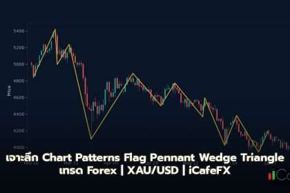 Chart Patterns Flag Pennant Wedge Triangle วิธีเทรด Forex