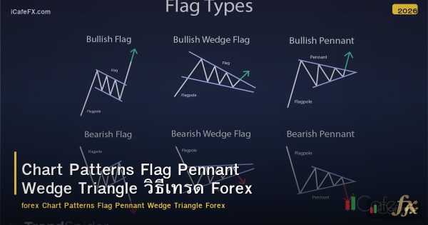 Chart Patterns Flag Pennant Wedge Triangle วิธีเทรด Forex