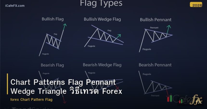 Chart Patterns Flag Pennant Wedge Triangle วิธีเทรด Forex