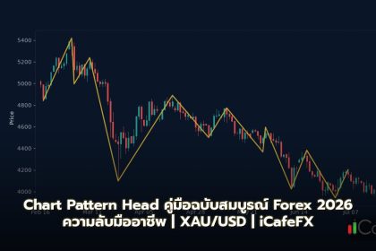 Chart Pattern Head คู่มือฉบับสมบูรณ์ Forex 2026
