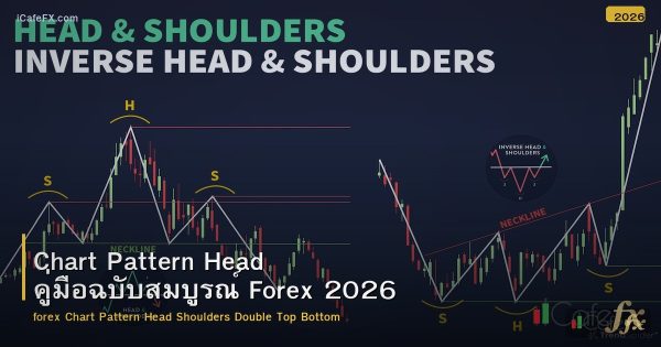 Chart Pattern Head คู่มือฉบับสมบูรณ์ Forex 2026