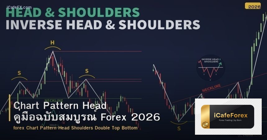 Chart Pattern Head คู่มือฉบับสมบูรณ์ Forex 2026
