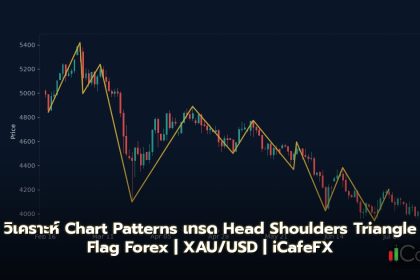 Chart Patterns วิธีเทรด Head Shoulders Triangle Flag Forex