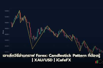 วิธีอ่านกราฟ Forex: เจาะลึก Candlestick Pattern ที่ต้องรู้