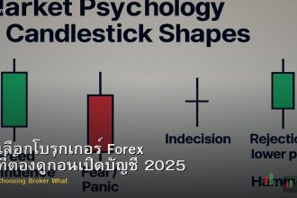 วิธีเลือกโบรกเกอร์ Forex สิ่งที่ต้องดูก่อนเปิดบัญชี 2025