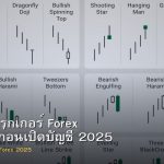 วิธีเลือกโบรกเกอร์ Forex สิ่งที่ต้องดูก่อนเปิดบัญชี 2025