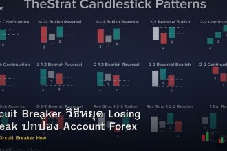 Circuit Breaker วิธีหยุด Losing Streak ปกป้อง Account Forex