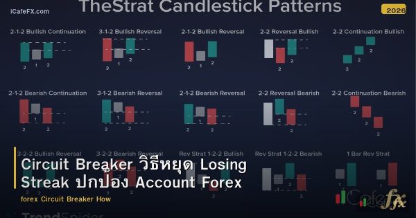 Circuit Breaker วิธีหยุด Losing Streak ปกป้อง Account Forex