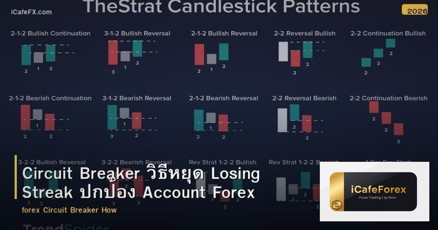 Circuit Breaker วิธีหยุด Losing Streak ปกป้อง Account Forex