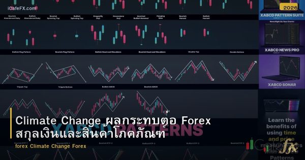 Climate Change ผลกระทบต่อ Forex สกุลเงินและสินค้าโภคภัณฑ์