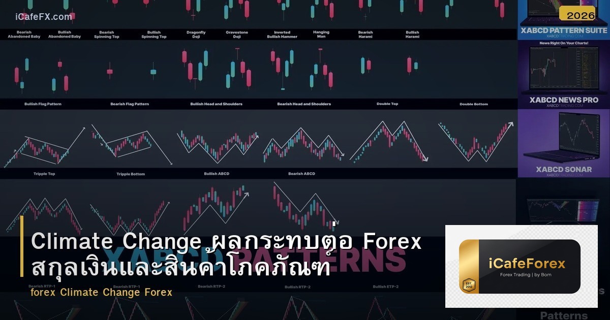 Climate Change ผลกระทบต่อ Forex สกุลเงินและสินค้าโภคภัณฑ์