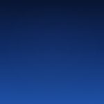 Cognitive Bias Confirmation คู่มือฉบับสมบูรณ์ Forex 2026