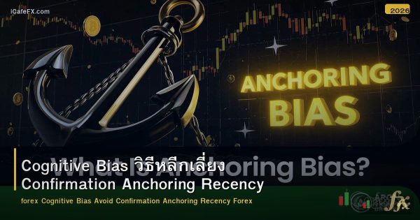 Cognitive Bias วิธีหลีกเลี่ยง Confirmation Anchoring Recency Forex