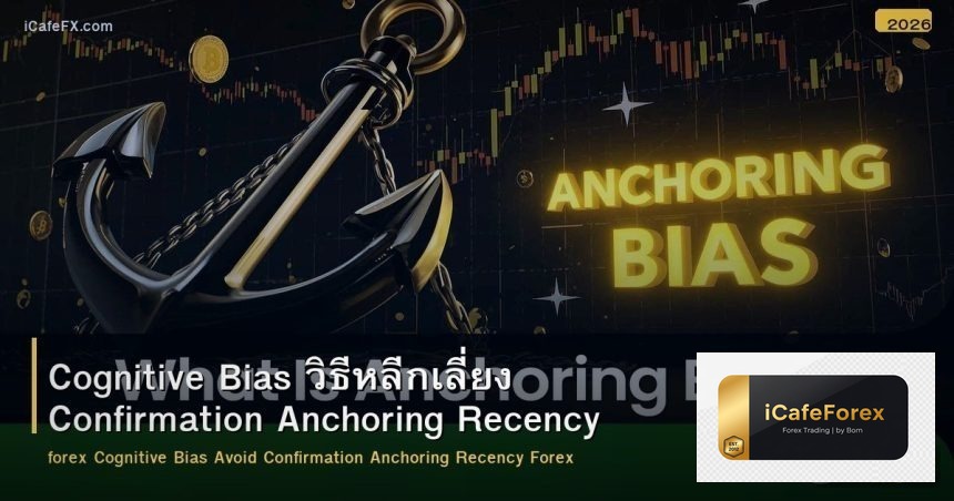 Cognitive Bias วิธีหลีกเลี่ยง Confirmation Anchoring Recency Forex