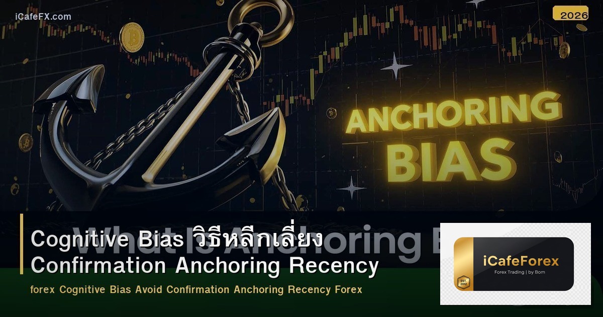 Cognitive Bias วิธีหลีกเลี่ยง Confirmation Anchoring Recency Forex