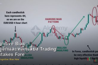 Cognitive Bias วิธีรู้จักและหลีกเลี่ยง Trading Mistakes Forex