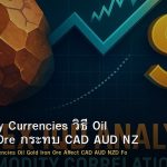 Commodity Currencies วิธี Oil Gold Iron Ore กระทบ CAD AUD NZD Forex