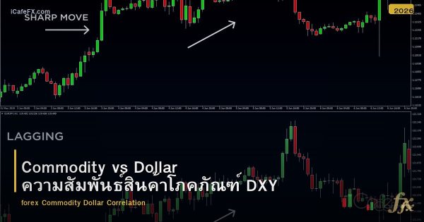 Commodity vs Dollar ความสัมพันธ์สินค้าโภคภัณฑ์ DXY