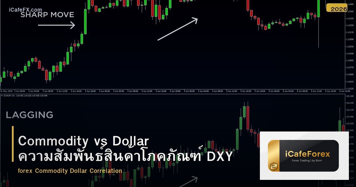 Commodity vs Dollar ความสัมพันธ์สินค้าโภคภัณฑ์ DXY